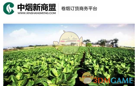 当兵两年退伍能拿到多少钱？
